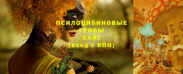 дживик Беломорск