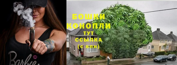 дживик Беломорск